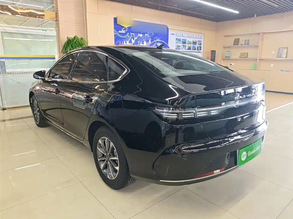 BYD Destroyer 05 2024 Glory Edition DM-i 55KM Luxury фото 5