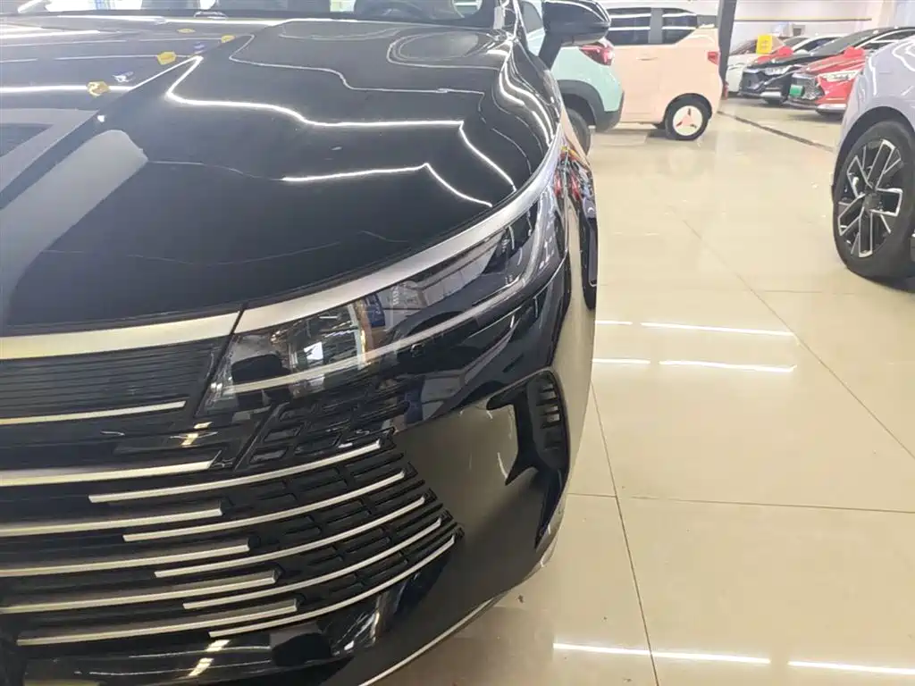 BYD Destroyer 05 2024 Glory Edition DM-i 55KM Luxury фото 24