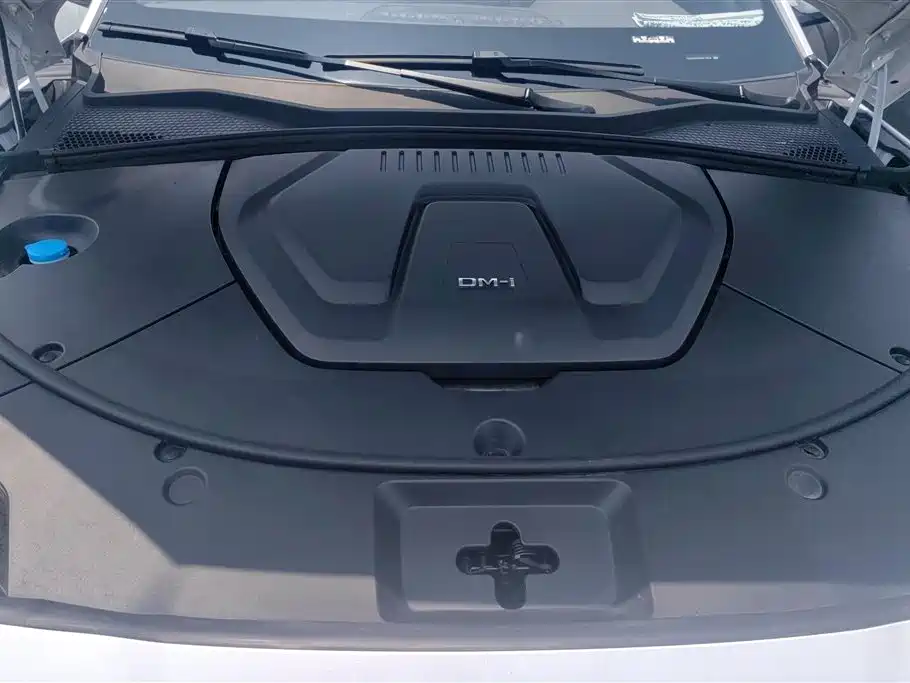 BYD Song PLUS PHEV 2025 DM-i 112KM Honor фото 10