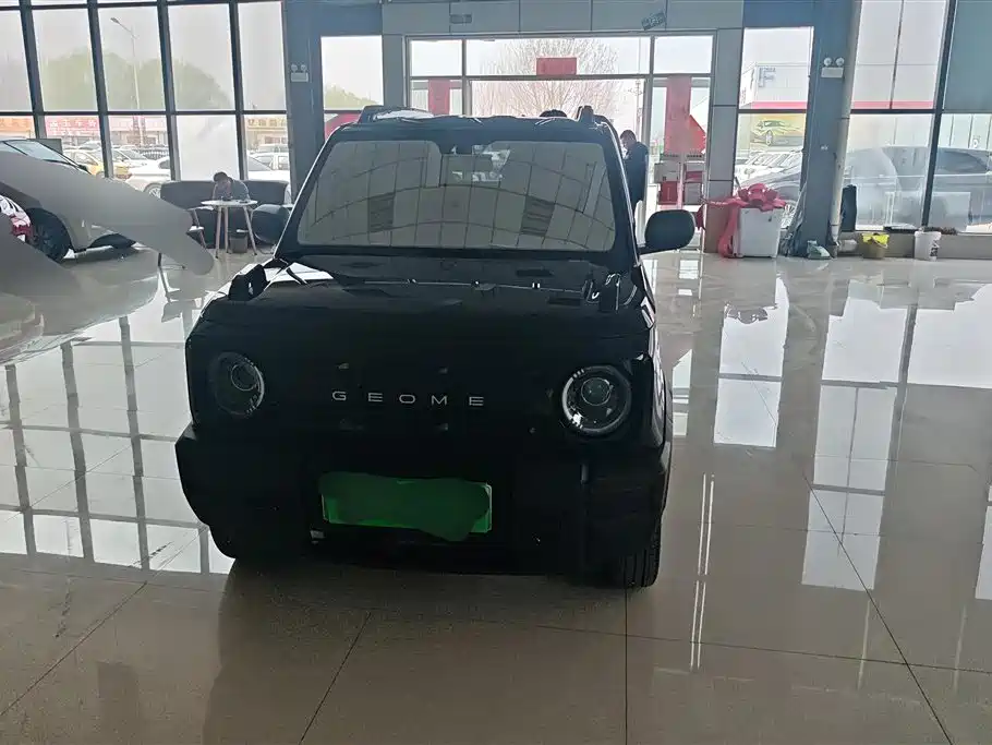 GEELY GALAXY PANDA
