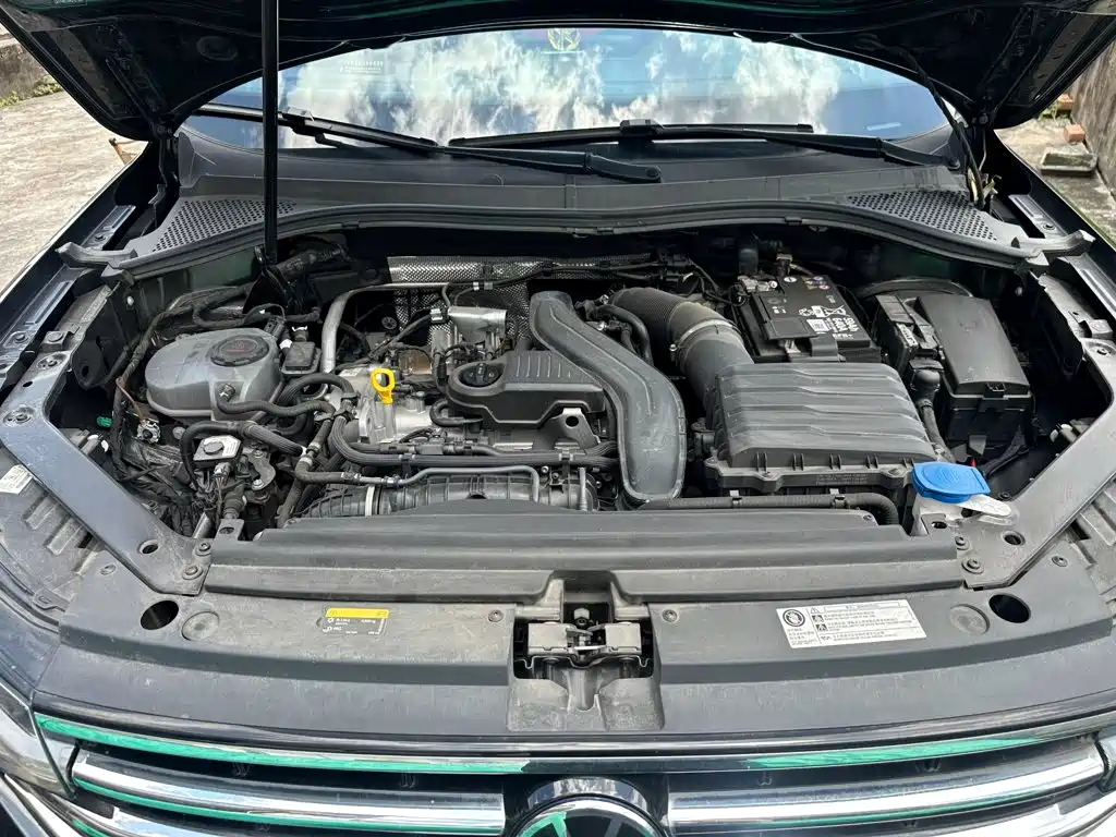 Volkswagen Tiguan L 2025 2024 Outstanding 300TSI Auto 2WD Dragon Soaring Edition