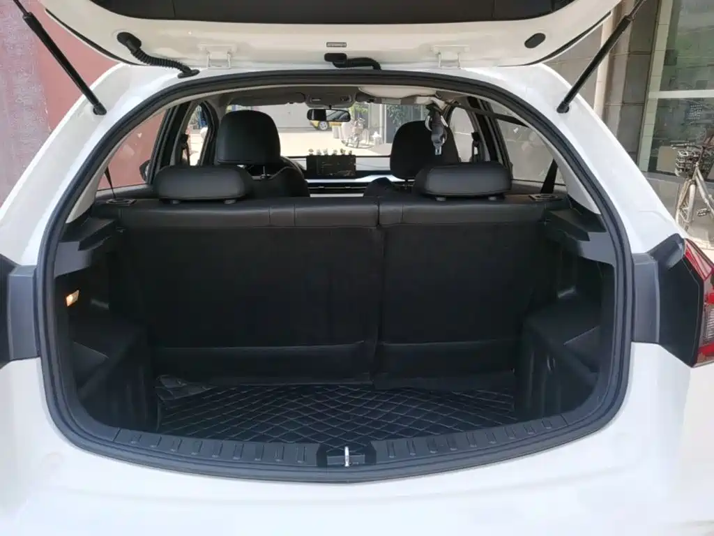 Geely Geometry EX3 Kung Fu Bull 2022 2021 Strong Bull