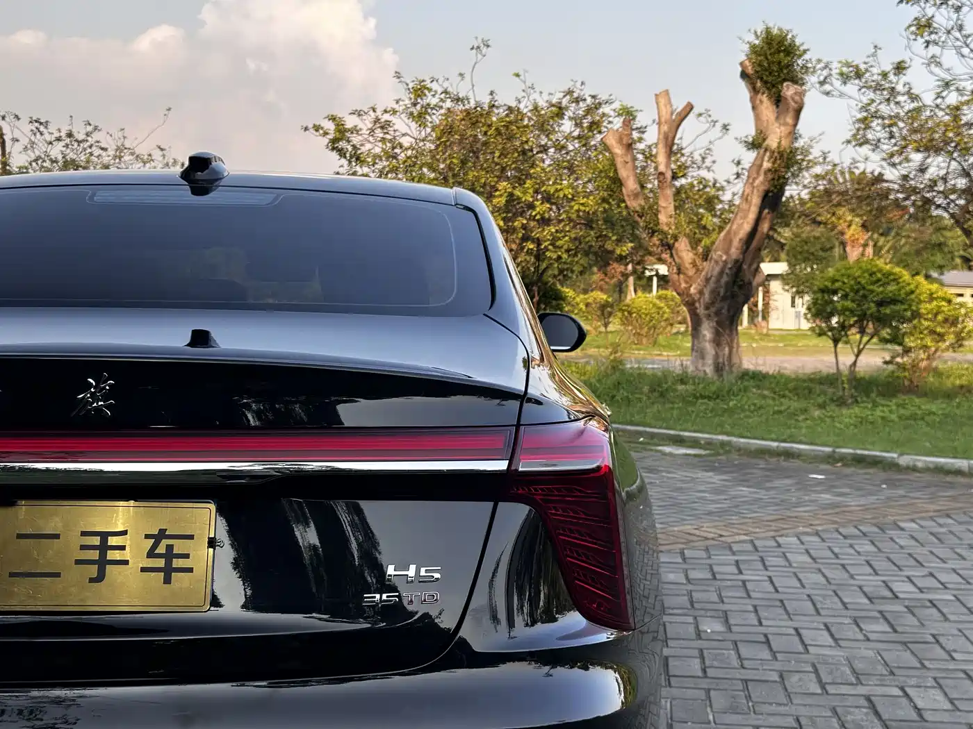 Hongqi H5 2025 1.5T DCT Flag Rhythm 500,000 Units Memorial Edition фото 12