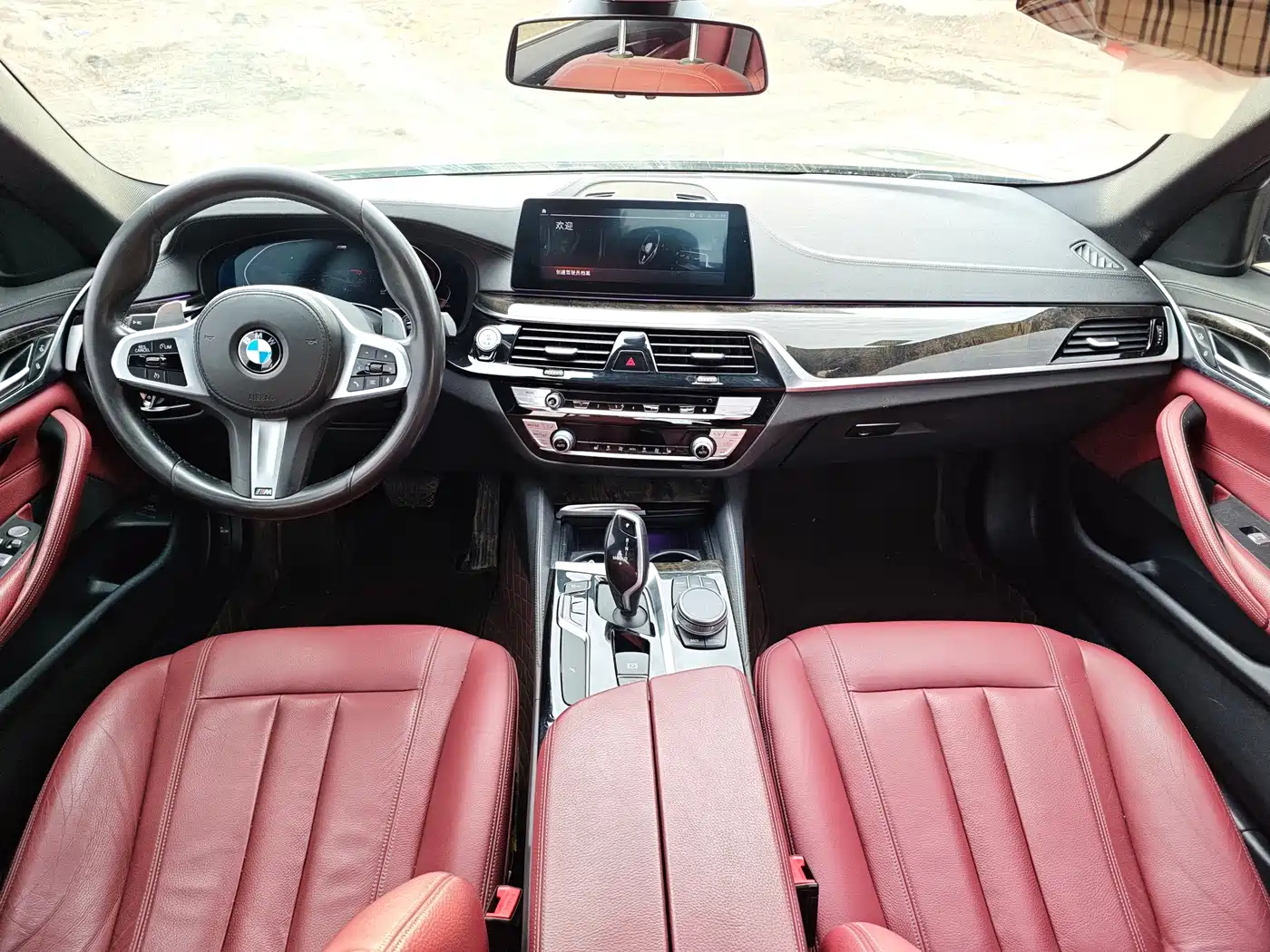 BMW 5 Series 2020 530Li Leading M Sport Package фото 5