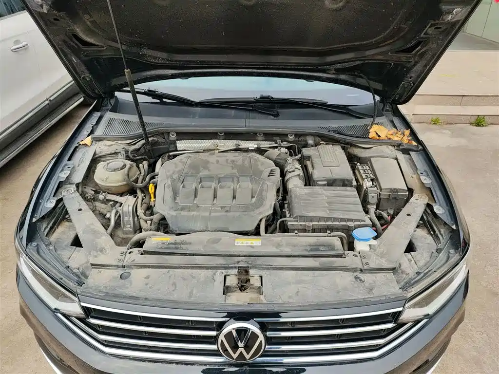 Volkswagen Magotan 2020 330TSI DSG Luxury фото 16