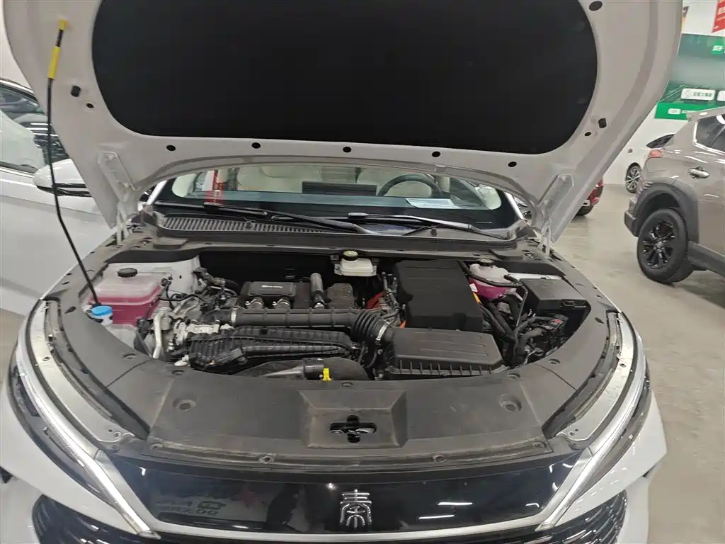 BYD Qin L 2024 DM-i 120KM Excellence Model фото 20