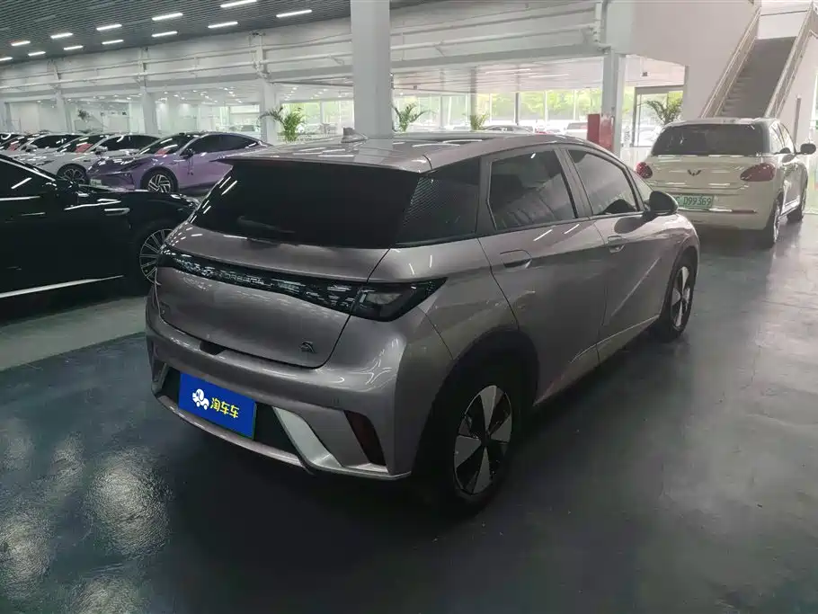 BYD Dolphin 2023 420km Fashion Edition фото 3
