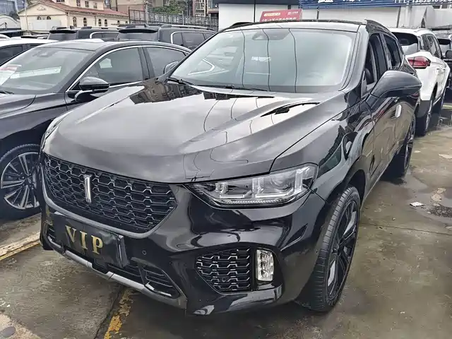 WEI PAI WEI BRAND VV5