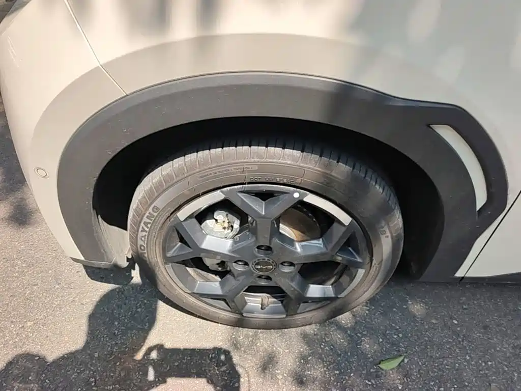 BYD Seagull 2026 2025 Smart Drive Edition 305km Freedom Version
