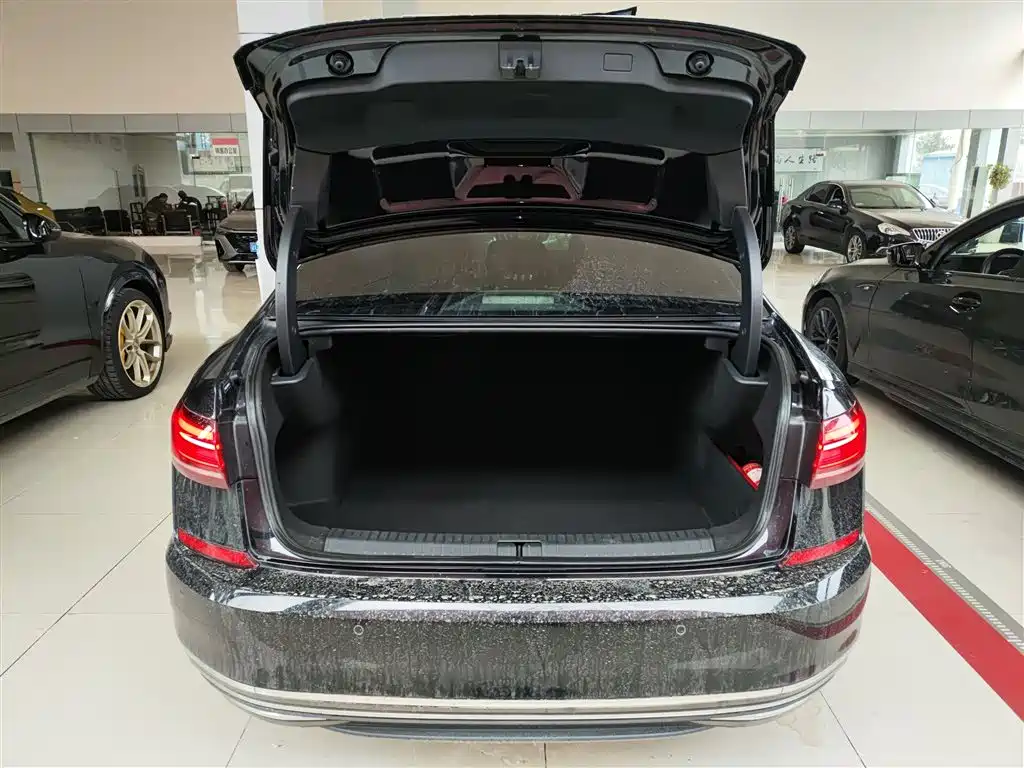 Volkswagen Passat 2022 330TSI Luxury Edition фото 19