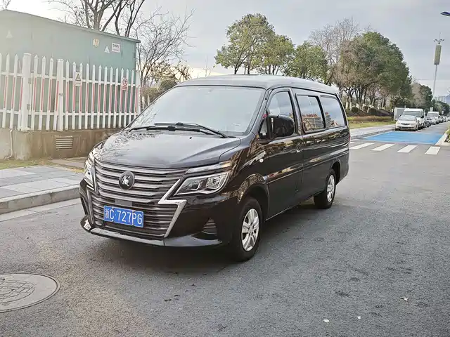 dongfeng lingzhi