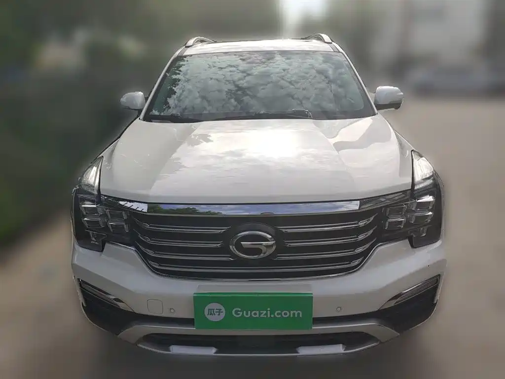 GAC Trumpchi Trumpchi GS8 2017 320T 2WD Luxury Smart Connect (7-seater) фото 3