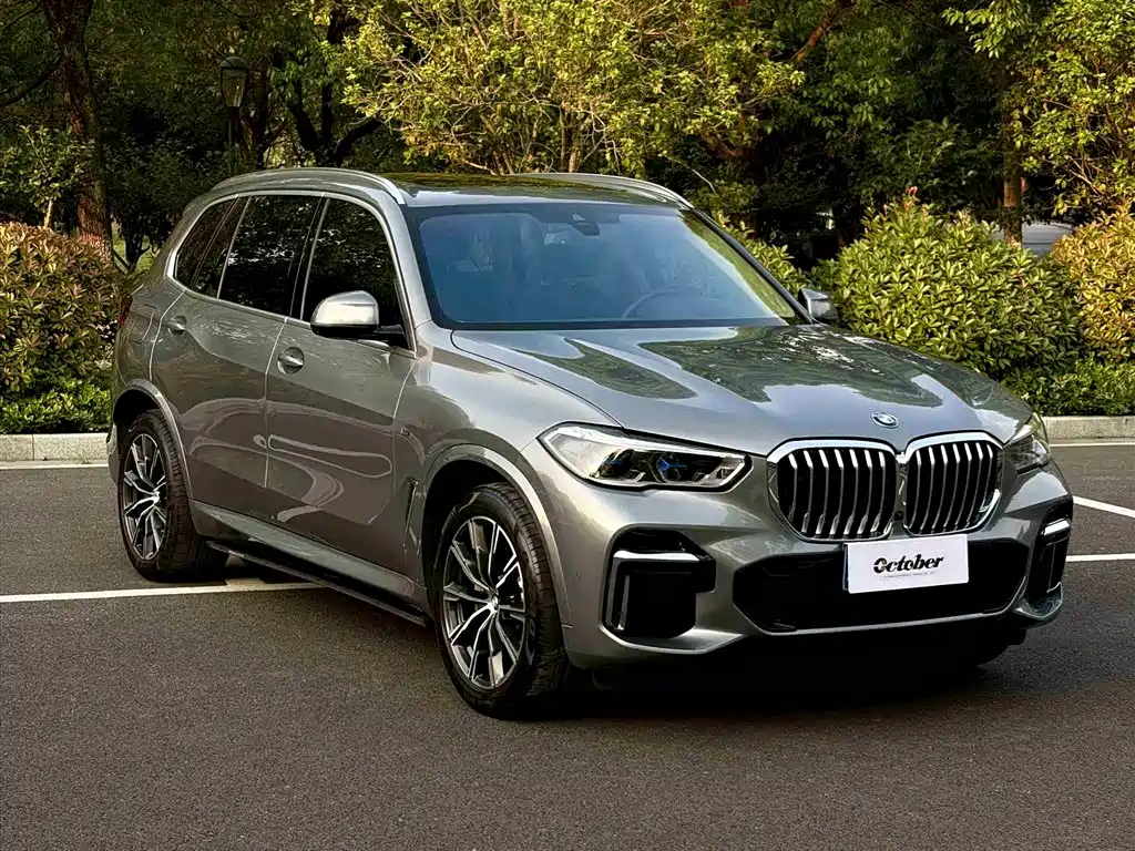 BMW X5 2022 xDrive 30Li Premium M Sport Package фото 3