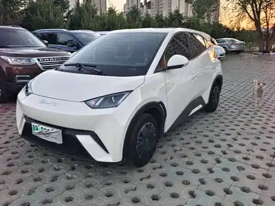 BYD Seagull