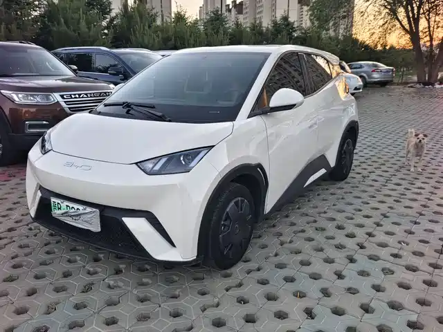BYD Seagull 2023