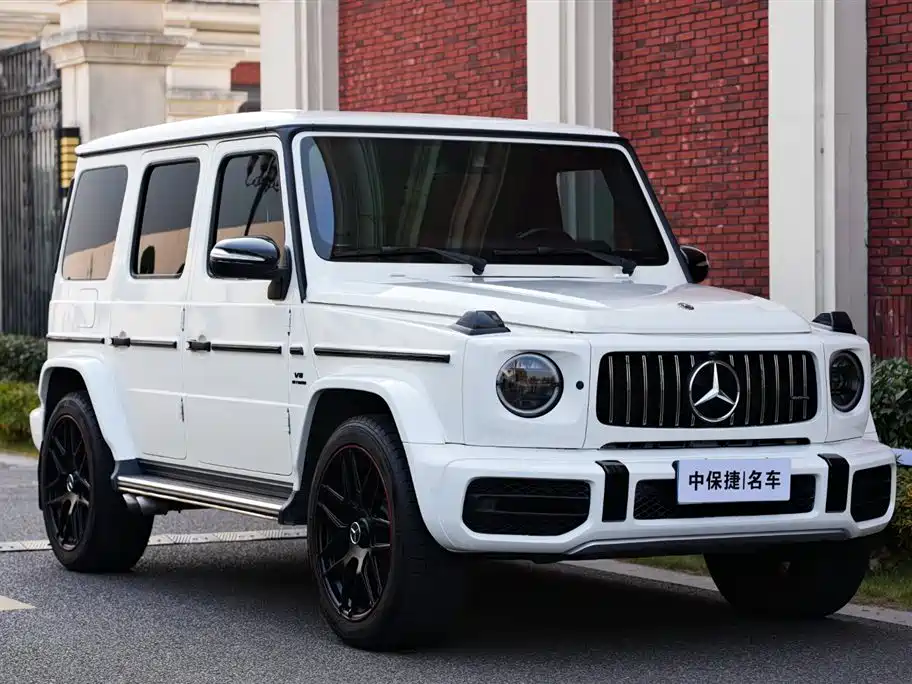Mercedes-Benz G-Class 2019 G 500 фото 2