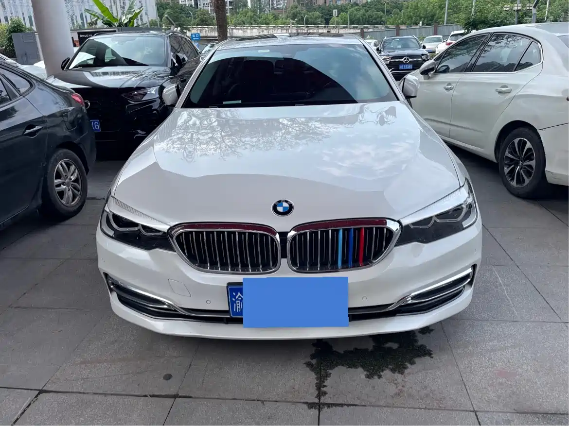 BMW 5 Series 2018 525Li Luxury Package фото 2