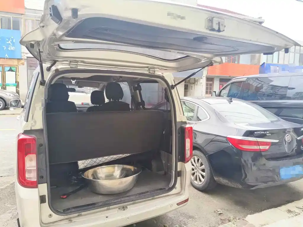 Dongfeng Fengguang Fengguang 380 2023 2022 1.5L Comfort Passenger Van (Leaf Spring) 7-Seater