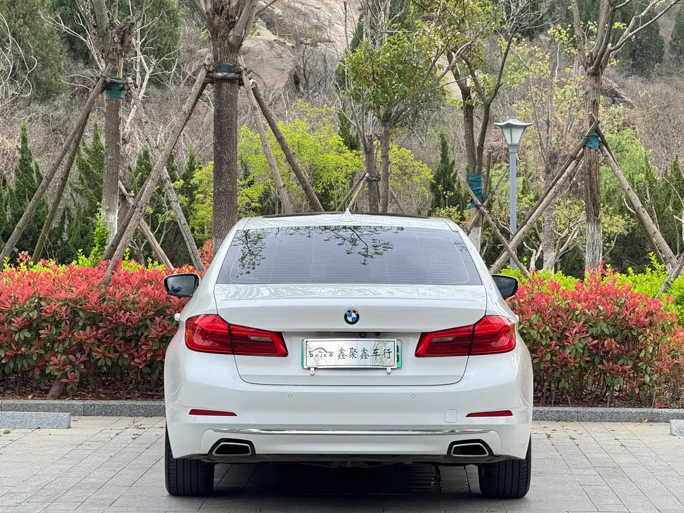 BMW 5 Series New Energy 2020 530Le Range Upgrade Luxury Package фото 9