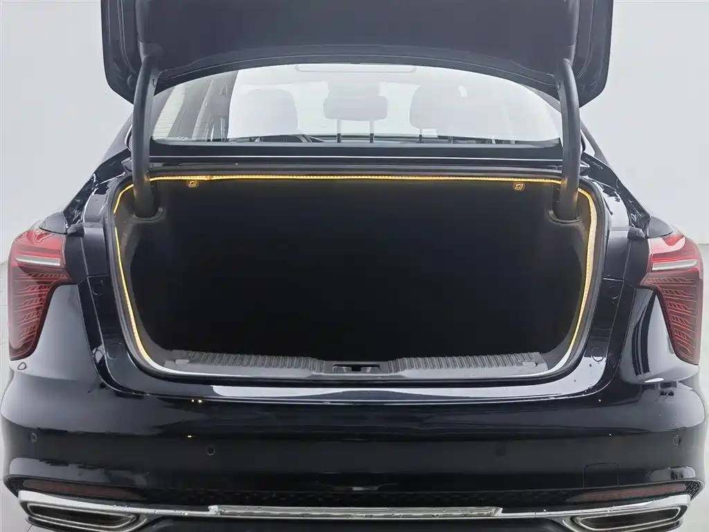 Hongqi H5 2023 2.0T Auto Smart Connect Flag Comfort фото 16