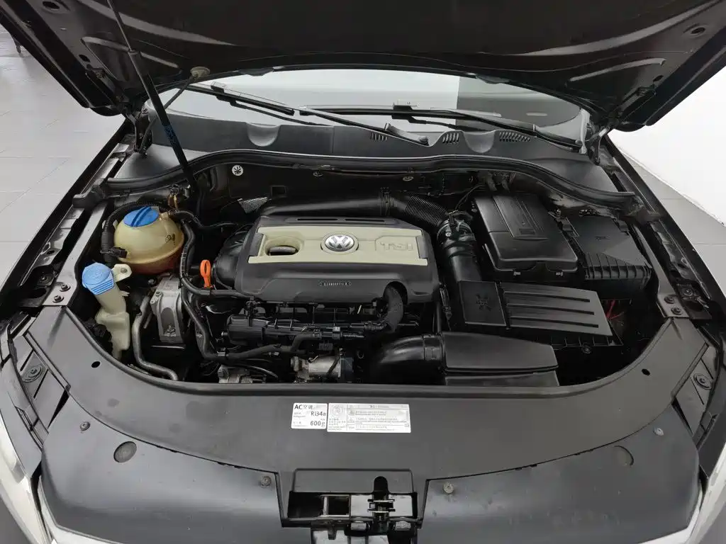 Volkswagen Magotan 2012 2012 2.0TSI Ultimate