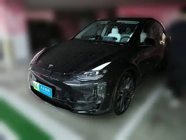 Tesla Model Y 2022 Performance High-Performance All-Wheel Drive Version — фото 1