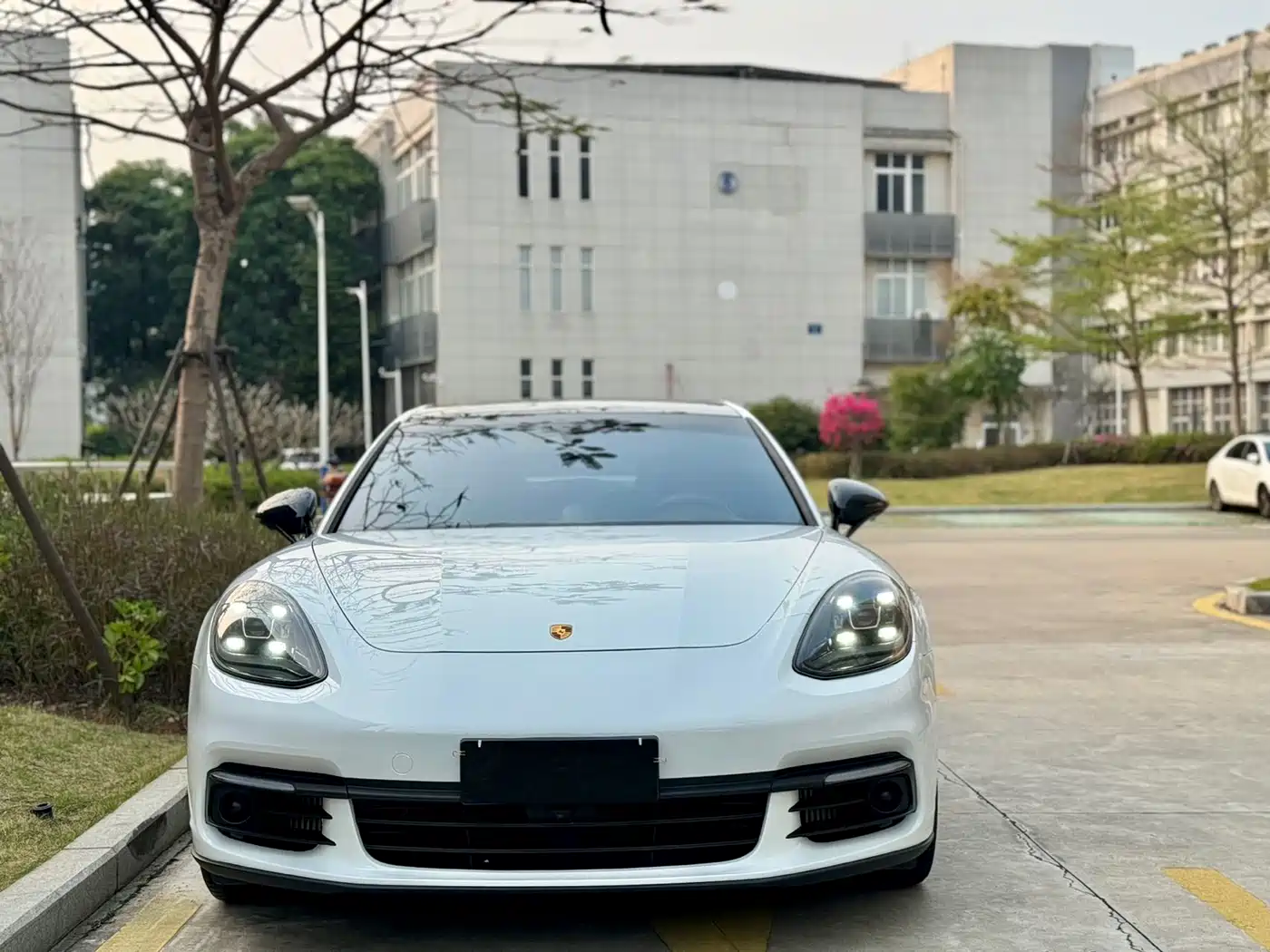 Porsche Panamera 2019 Panamera 2.9T фото 2