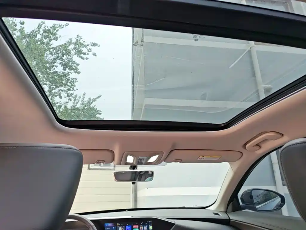 Dongfeng Aeolus Haoji 2025 2025 Mach Power 1.5T Luxury Model