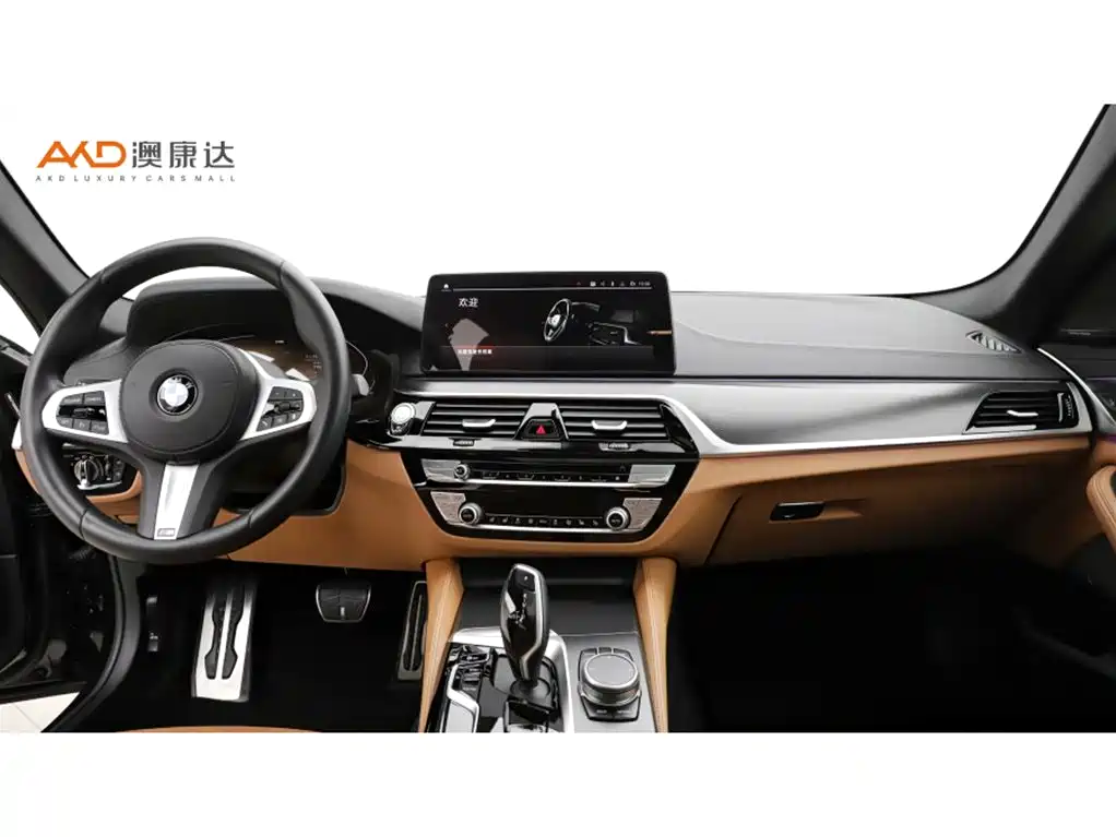 BMW 5 Series (Import) 2022 525i M Sport Package фото 5