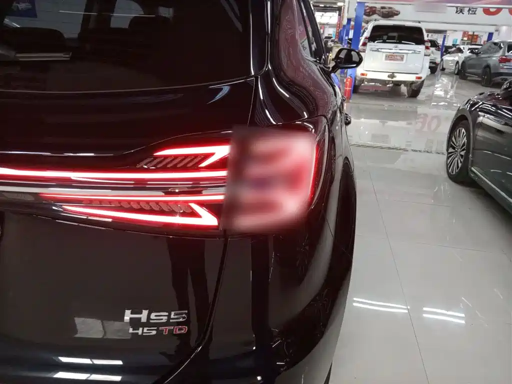 Hongqi HS5 2023 2.0T Flag Enjoy Pro Edition фото 24