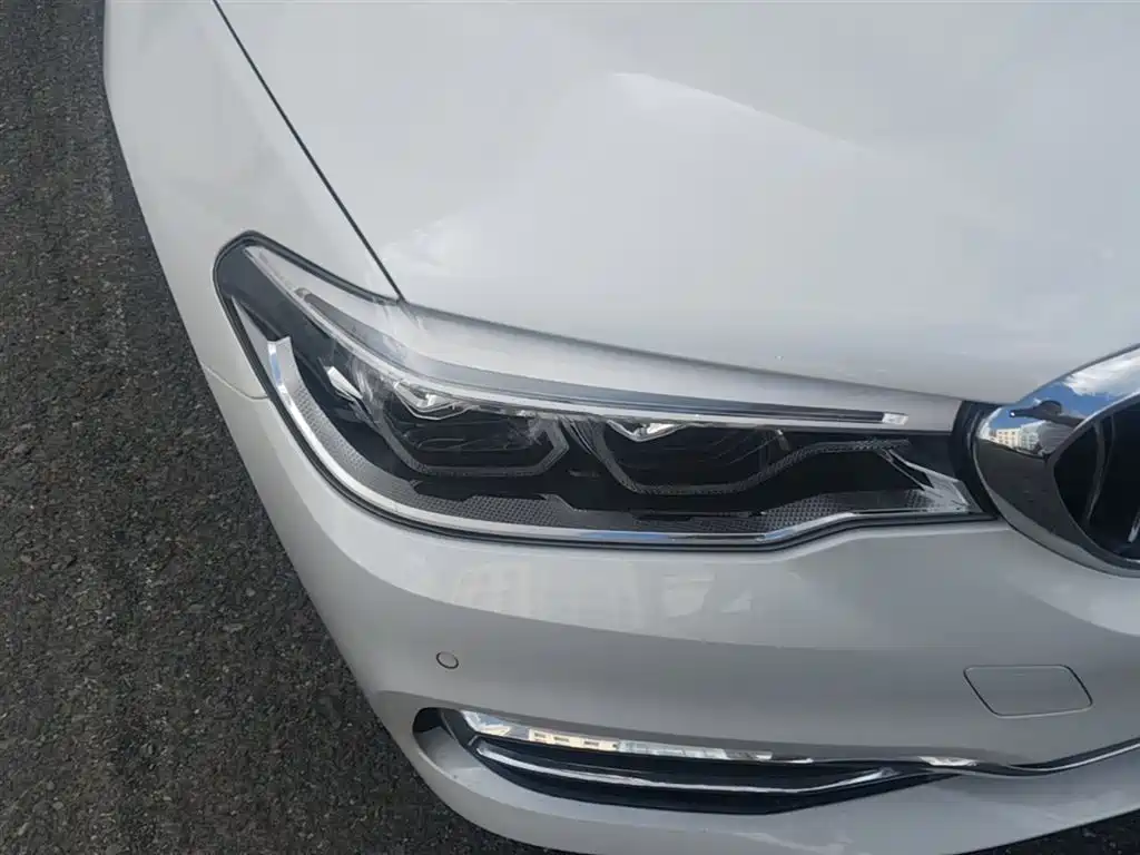 BMW 5 Series 2020 530Li xDrive Luxury Package фото 13