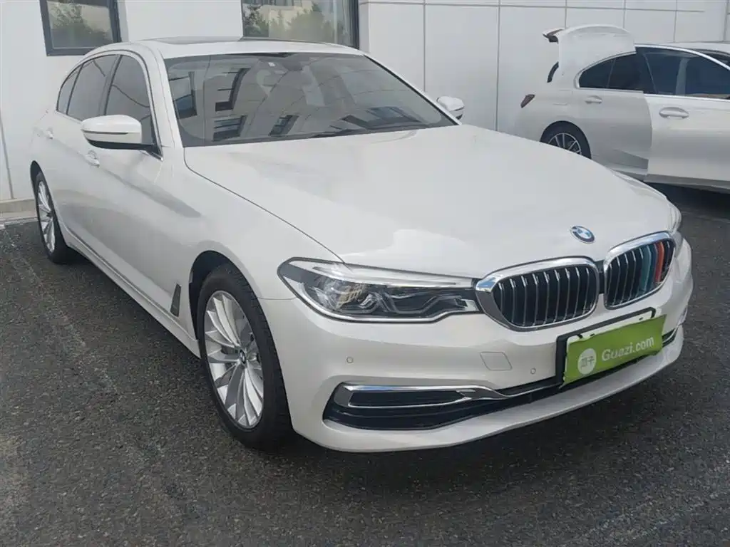 BMW 5 Series 2020 530Li xDrive Luxury Package фото 7