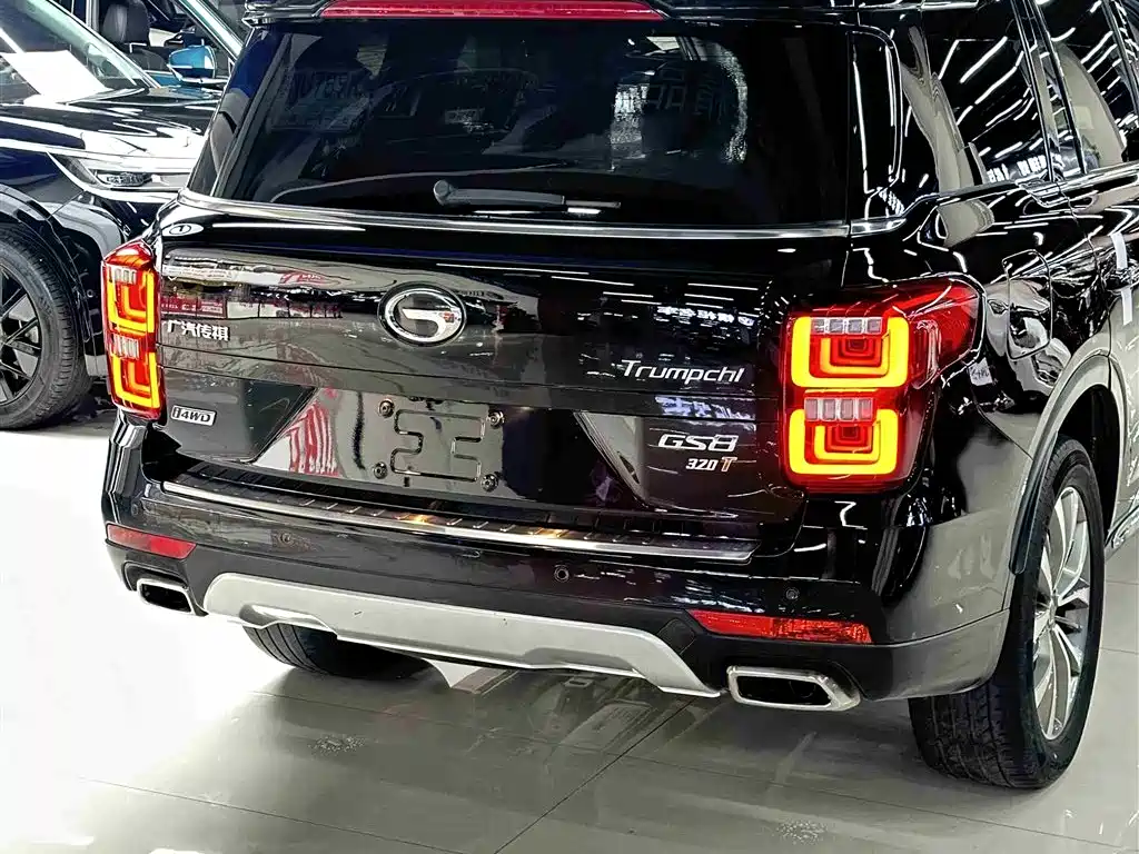 GAC Trumpchi Trumpchi GS8 2017 320T AWD Luxury Smart Connect (7-Seater) фото 33