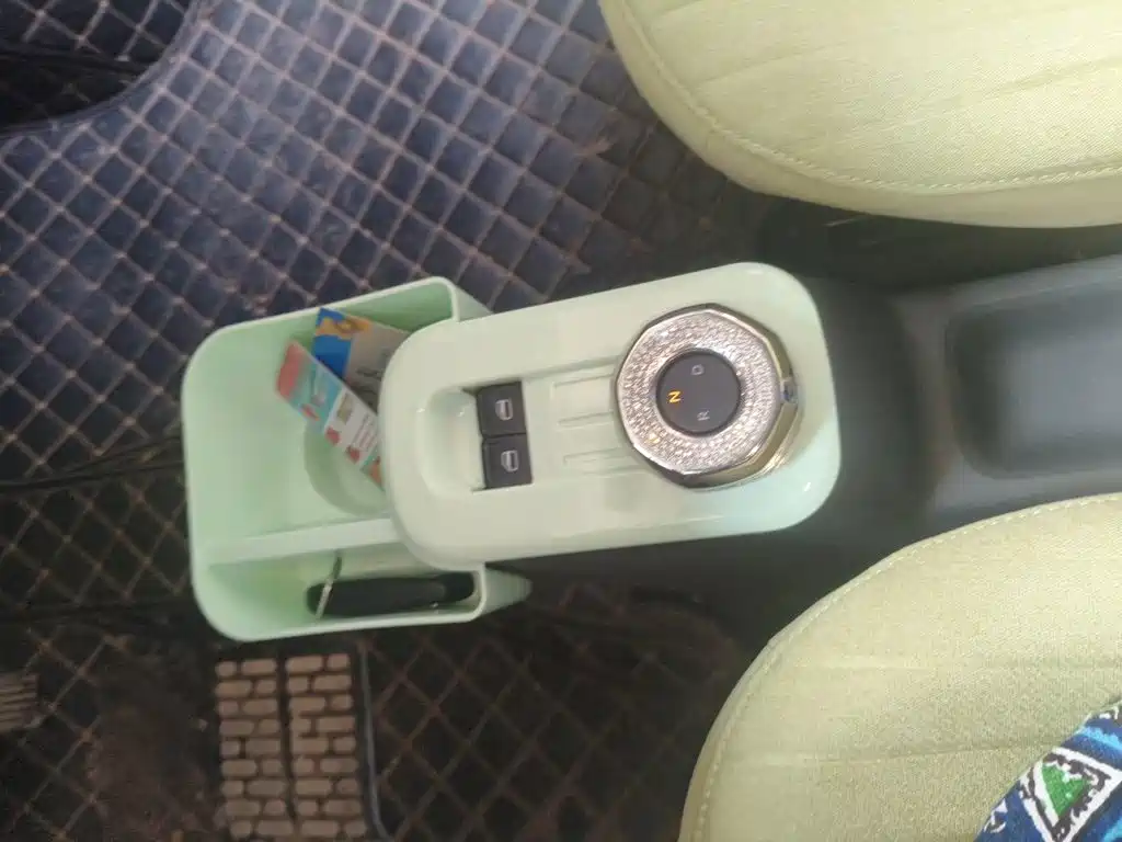 Geely Galaxy Panda 2023 2023 Panda Mini 200km Endurance Bear