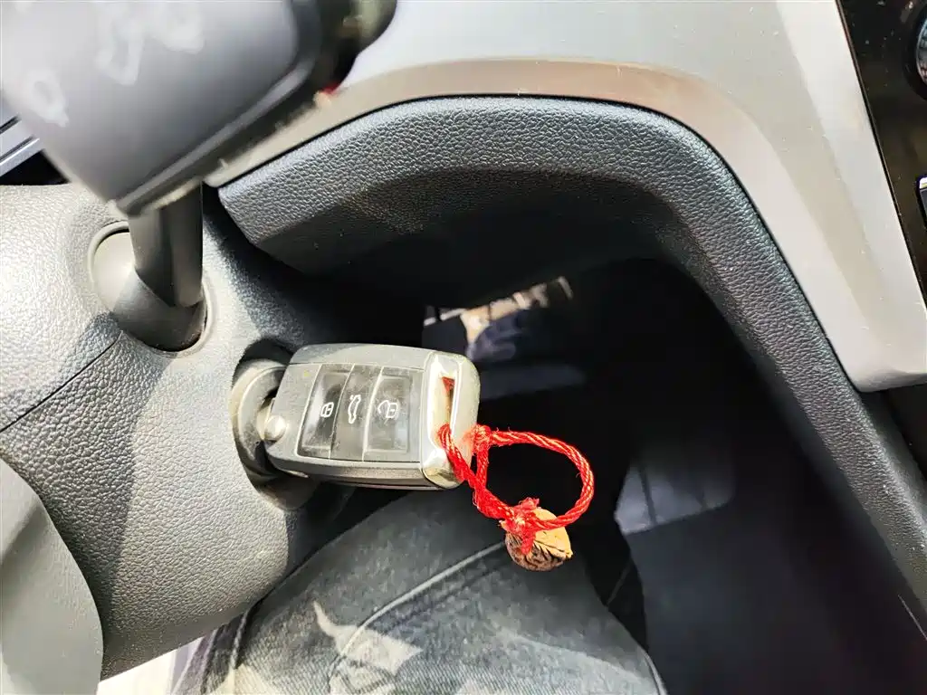 VOLKSWAGEN LINGDU