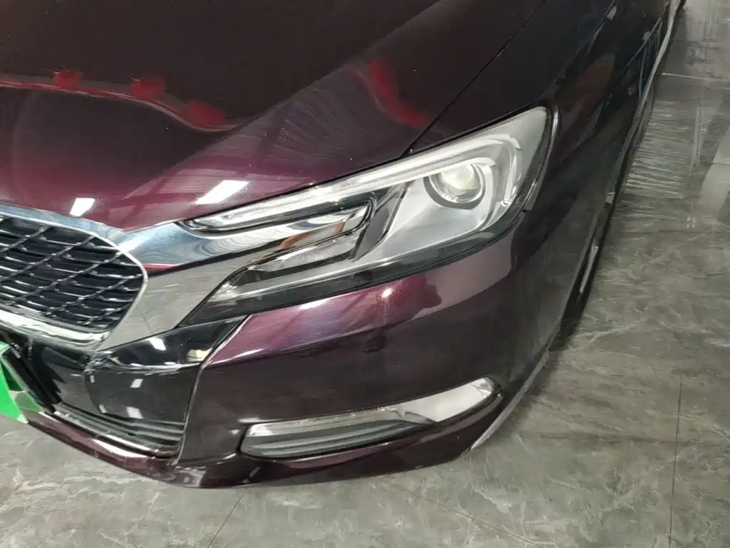 DS 5LS 2016 2016 1.6T Elegant Edition THP160