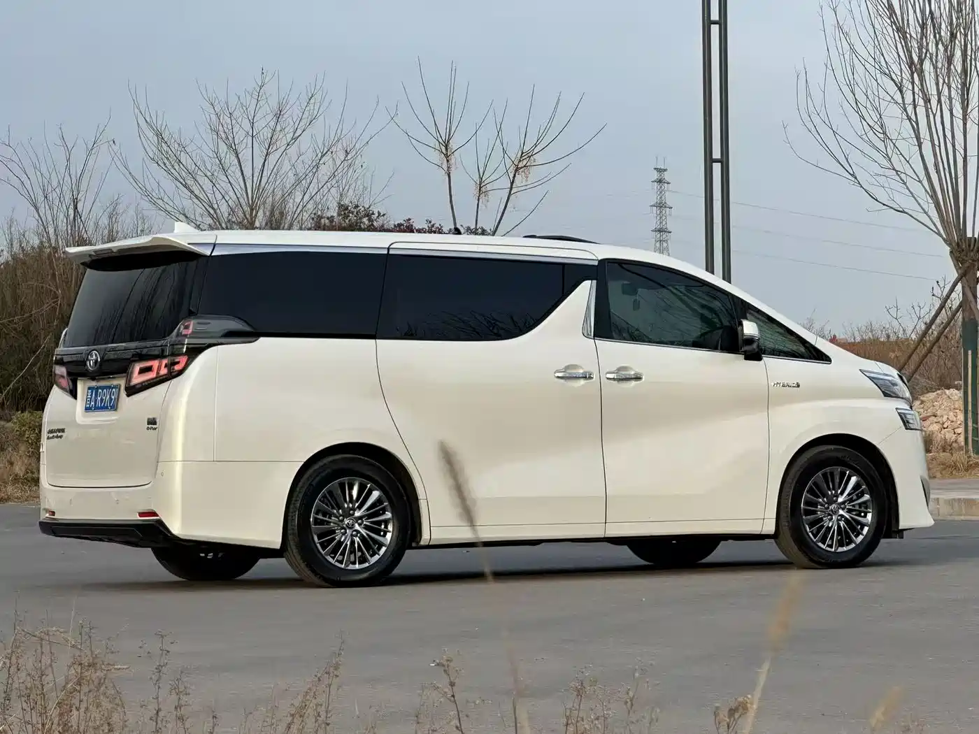 Toyota Vellfire 2020 Hybrid 2.5L Black Gold Limited Edition фото 4
