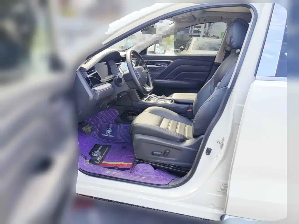 Venucia Star 2021 2020 260T Automatic 48V Mild Hybrid Turbo Star Enjoy Edition