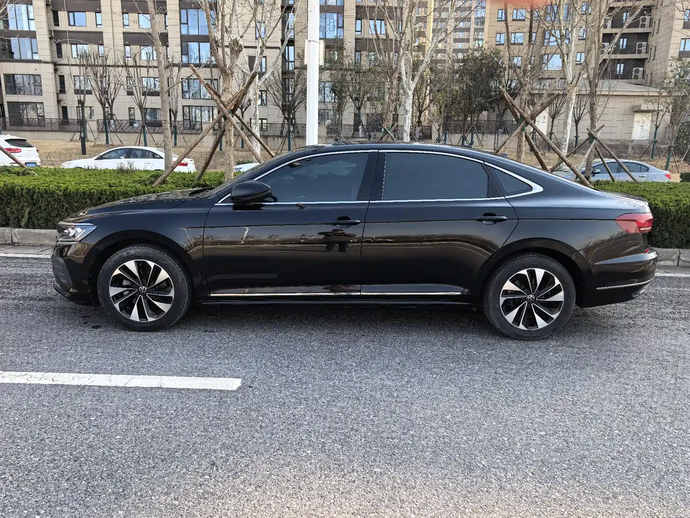 Volkswagen Passat 2024 280TSI Elite Edition фото 40