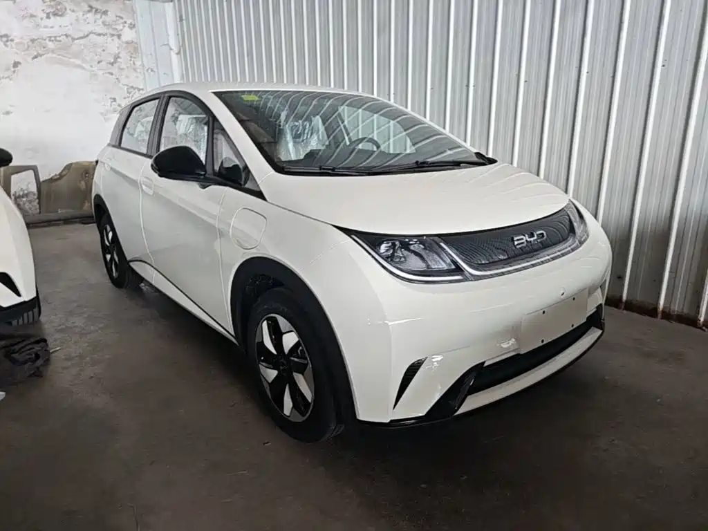 BYD Dolphin 2026 2025 420km Freedom Edition