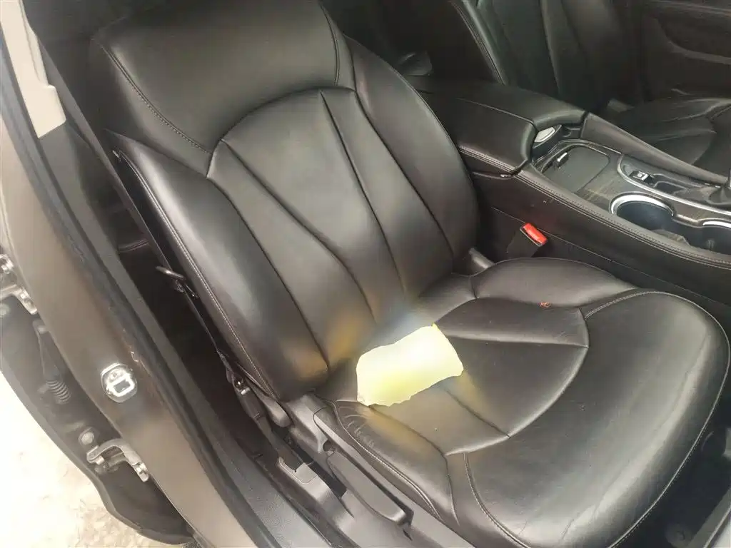 Buick Envision Plus 2018 20T 2WD Elite фото 25