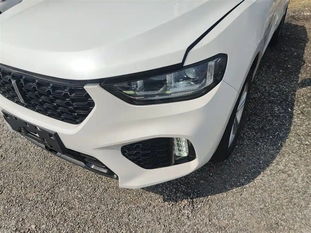 WEY VV5 2019 2019 1.5T 2WD Style Pioneer