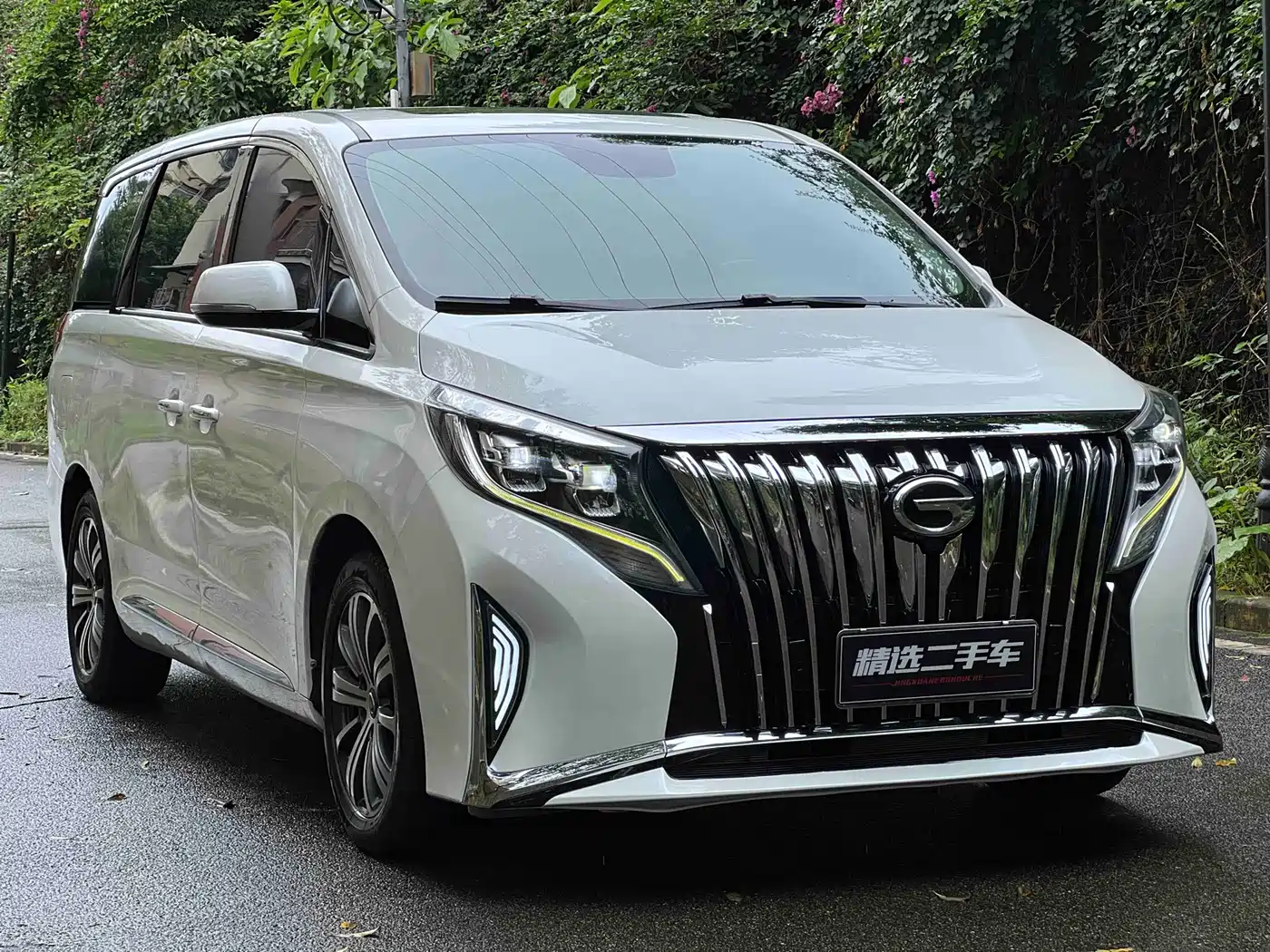 GAC Trumpchi Trumpchi M8 2018 320T Premium Edition фото 3