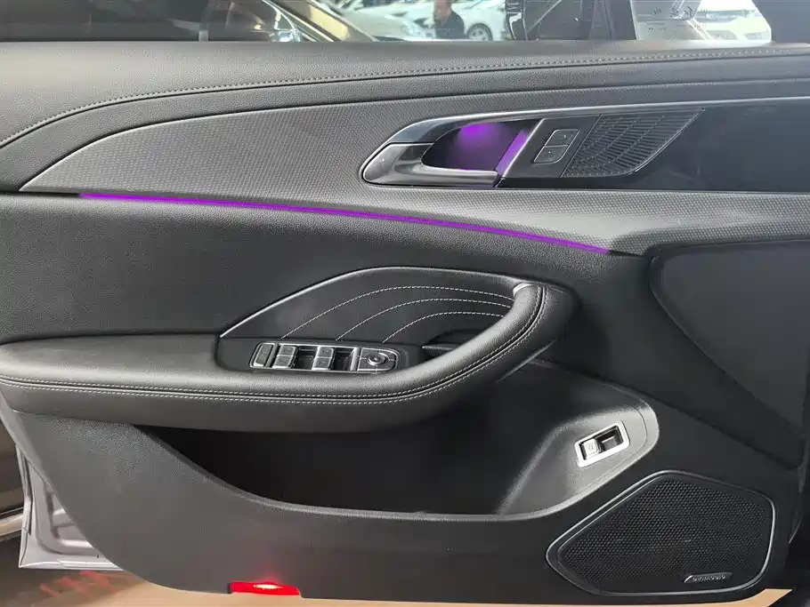 Hongqi H5 2023 2.0T Auto Smart Connect Flag Comfort фото 7