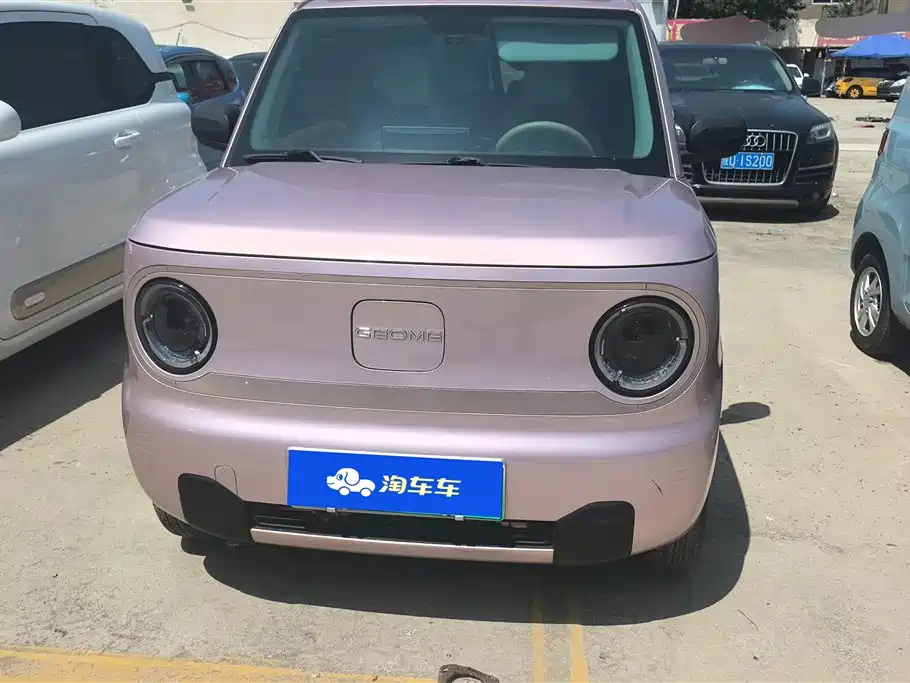 Geely Galaxy Panda 2023 Panda Mini 200km Lucky Duck Limited Edition фото 2