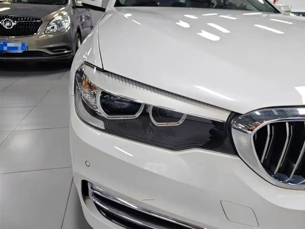 BMW 5 Series 2018 530Li xDrive Luxury Package фото 13