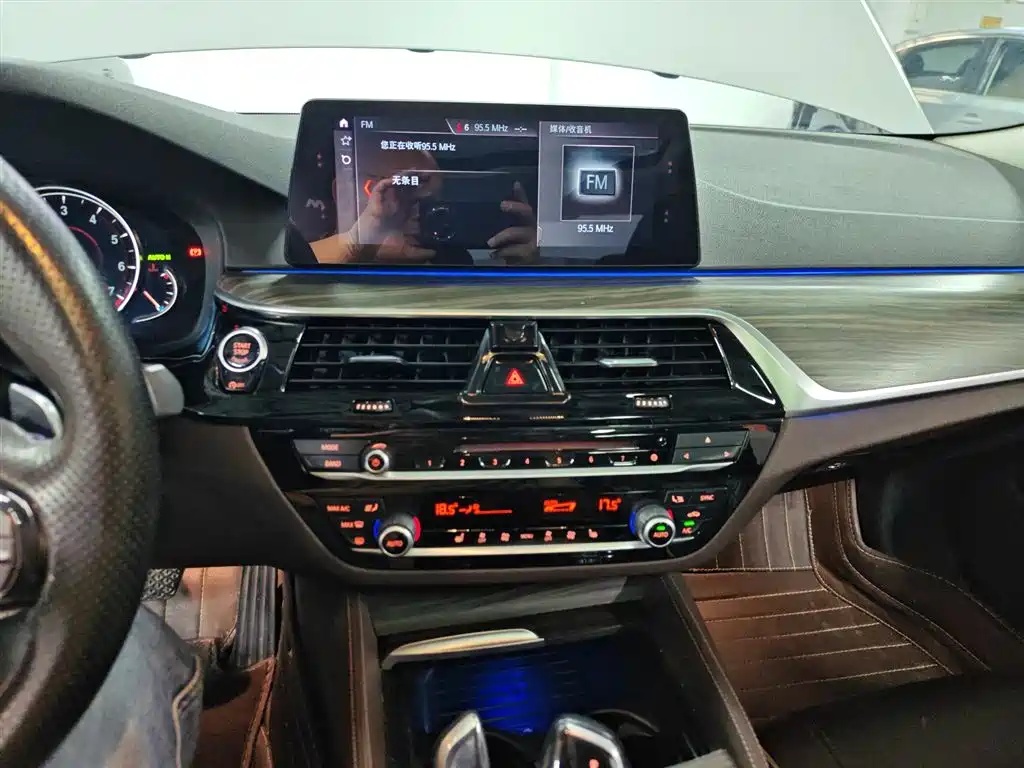 BMW 5 Series 2018 530Li xDrive Luxury Package фото 20