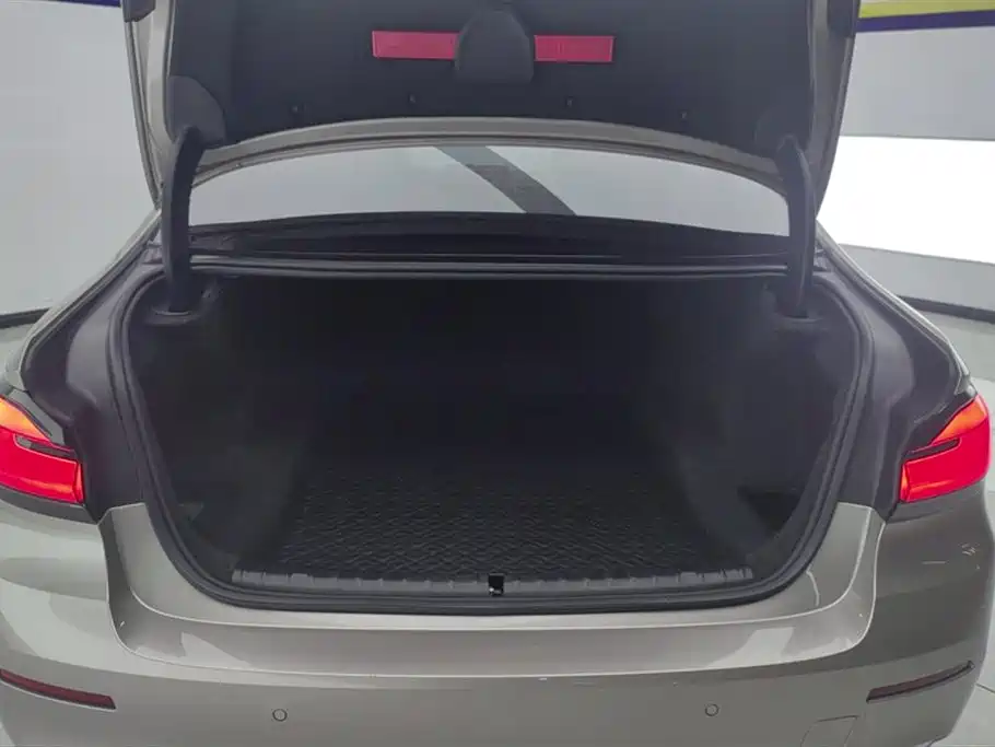 BMW 5 Series 2023 530Li Leading Luxury Package фото 4