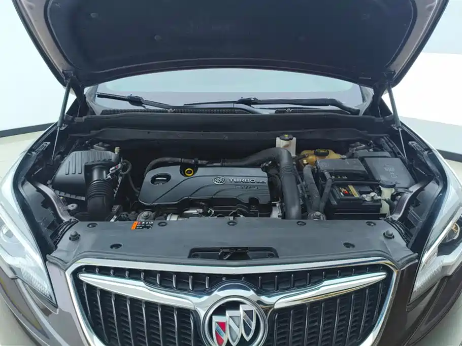 Buick Envision Plus 2018 20T 2WD Elite фото 10