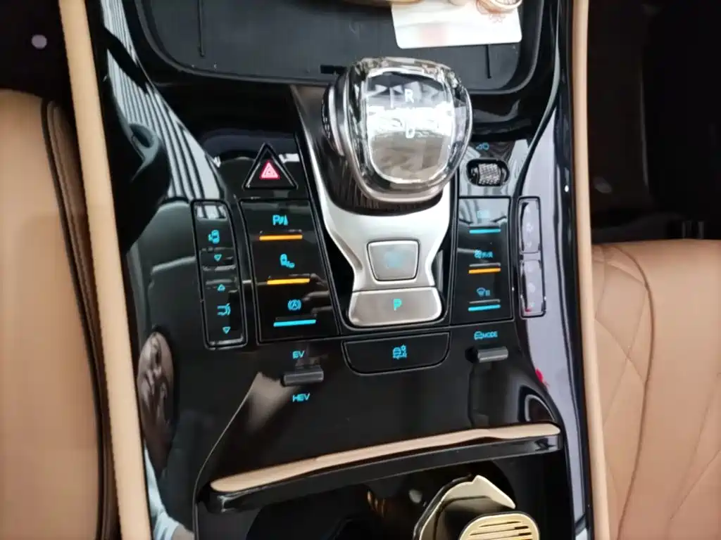 Denza Denza D9 2024 DM-i 1050 Premium 14